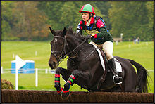 Smooth Flow, Memory Simple, Motion Simple