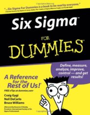 Six Sigma for Dummies: Interview with Craig Gygi