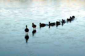 Overmanaged and Underled is Not Lean Leadership