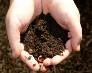 Jeff Bezos Kaizen: The Source of Dirt