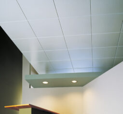 Waiting Room Emergency Department: How to Make Time Go Slower – Staring at Acoustic Ceiling Tiles