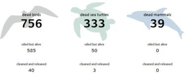 In a Glance: Oil Spill Animals Affected Chart
