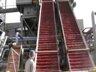 Heinz Factory Tour [video]