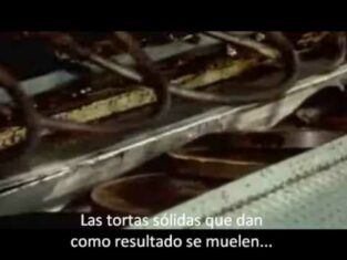 Hershey Factory Tour [video]