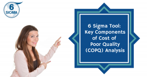Six Sigma Training and Certification (24)