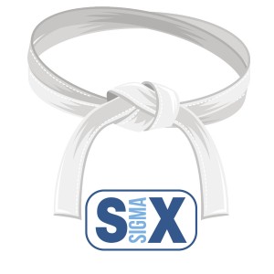 Online White Belt Training White Belt