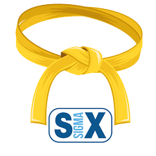 Online Yellow Belt Training yb dfss 1