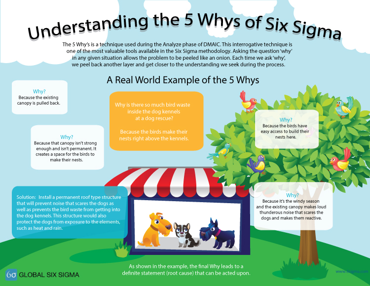5 whys 6 sigma infographic