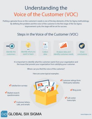 INFOGRAPHIC: Steps in the Voice of Customer (VOC) - 6sigma