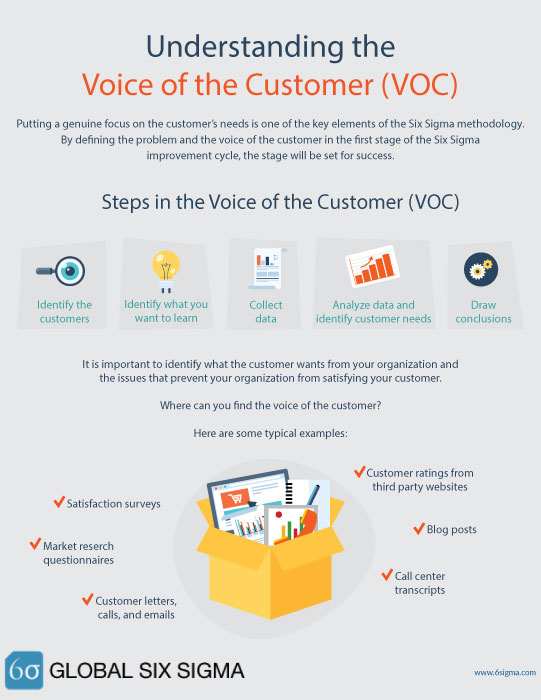 voice of customer