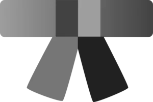 Image: Six Sigma Black Belt