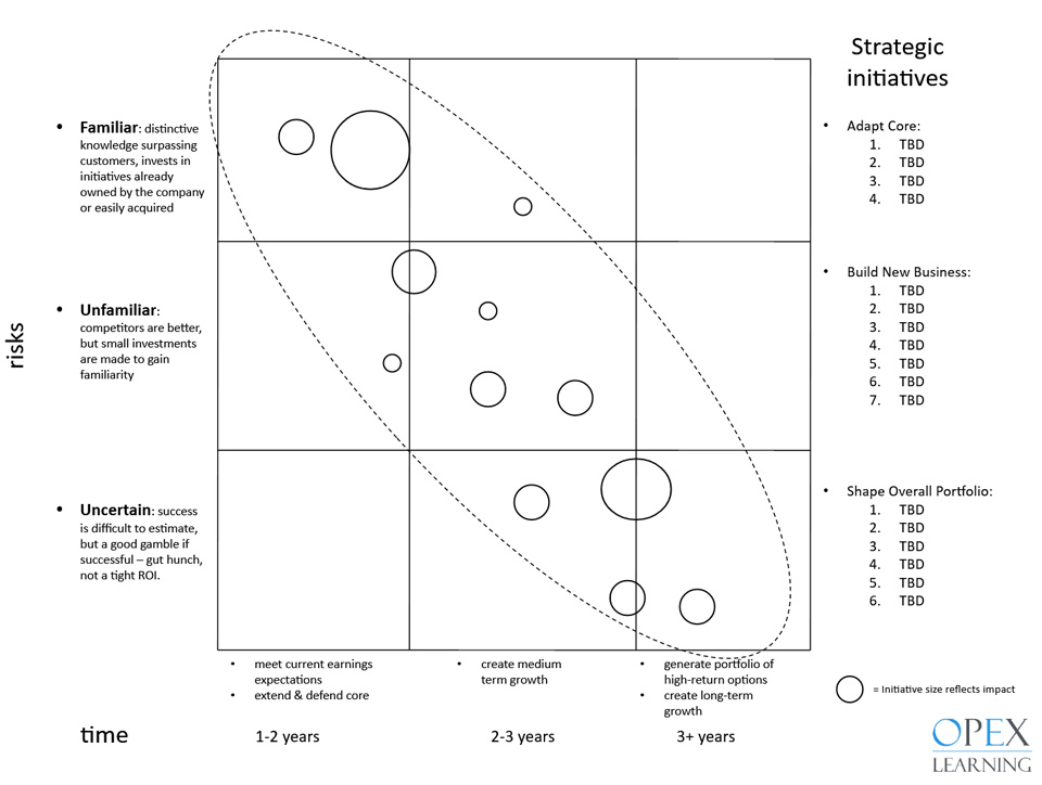 Portfolio of Initiatives
