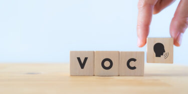 Qualitative Customer Feedback and the Voice of the Customer