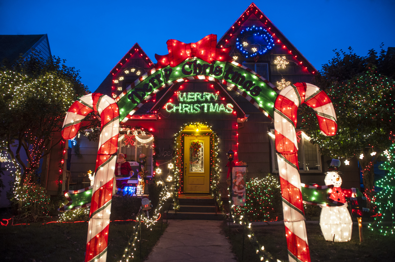 christmas light, christmas, shmula
