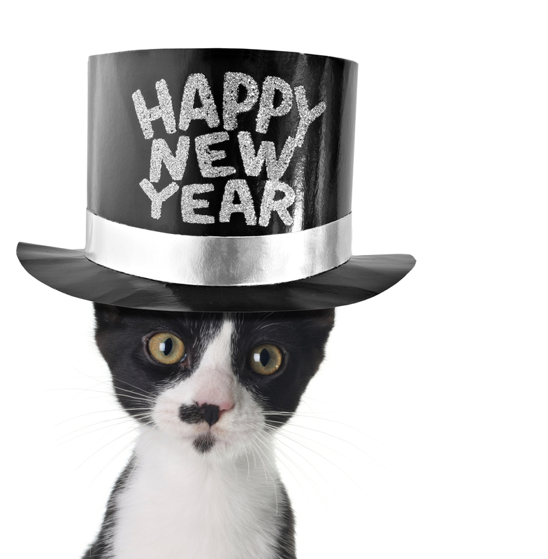 happy new year, blog, shmula