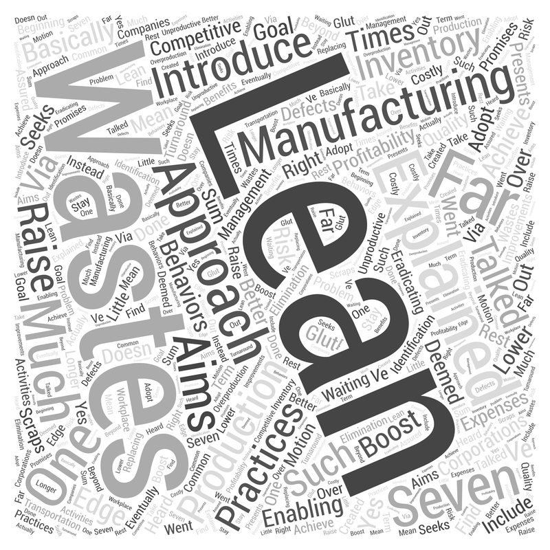 eight wastes, lean, lean six sigma, waste, shmula blog