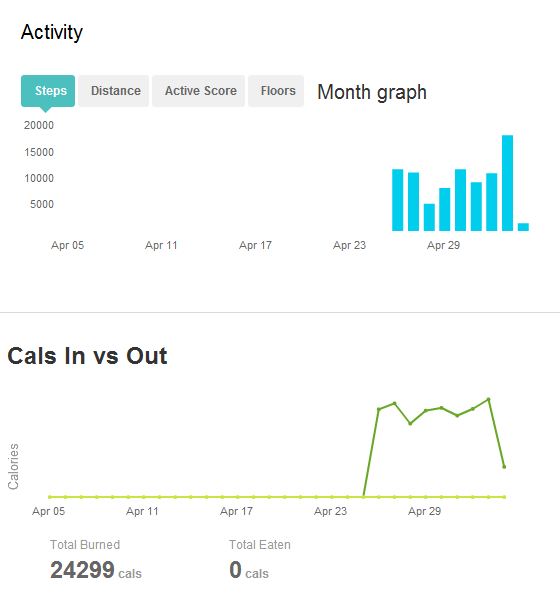 fitbit-step-tracker-activity fitbit pedometer