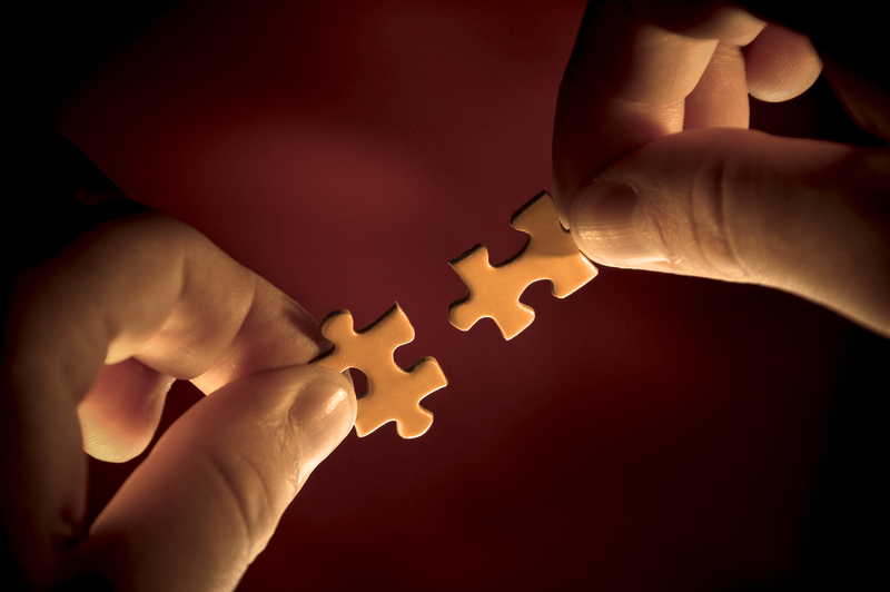 lean six sigma partnership