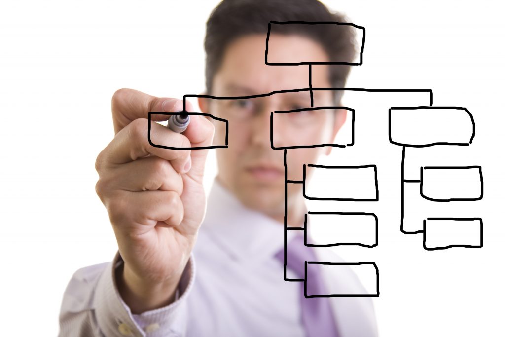 organization