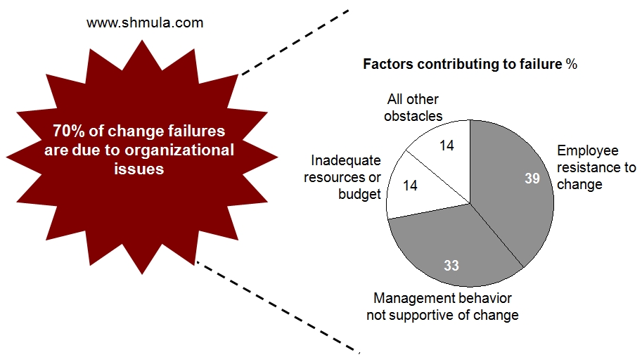 why transformation efforts fail