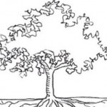 top-heavy-tree-shallow-root-shmula top-heavy-tree-shallow-root-shmula