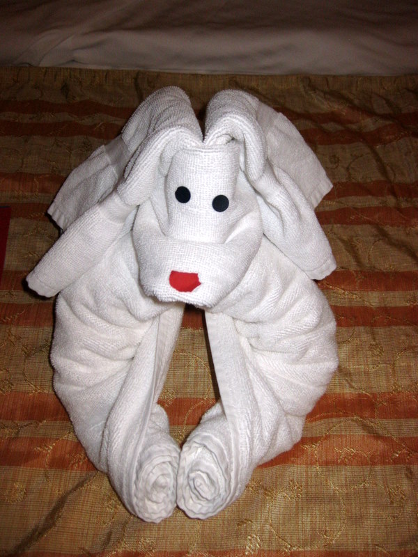 towel-animals-attack-dog towel animals attack dog