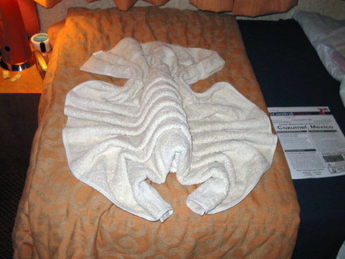 towel-animals-lobster towel animals lobster