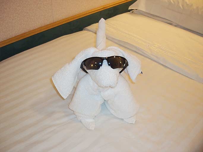 towel-animals-pitbull towel animals pitbull