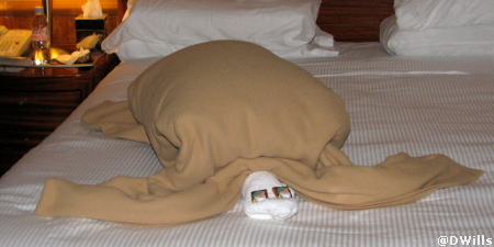 towel-animals-turtle towel animals turtle
