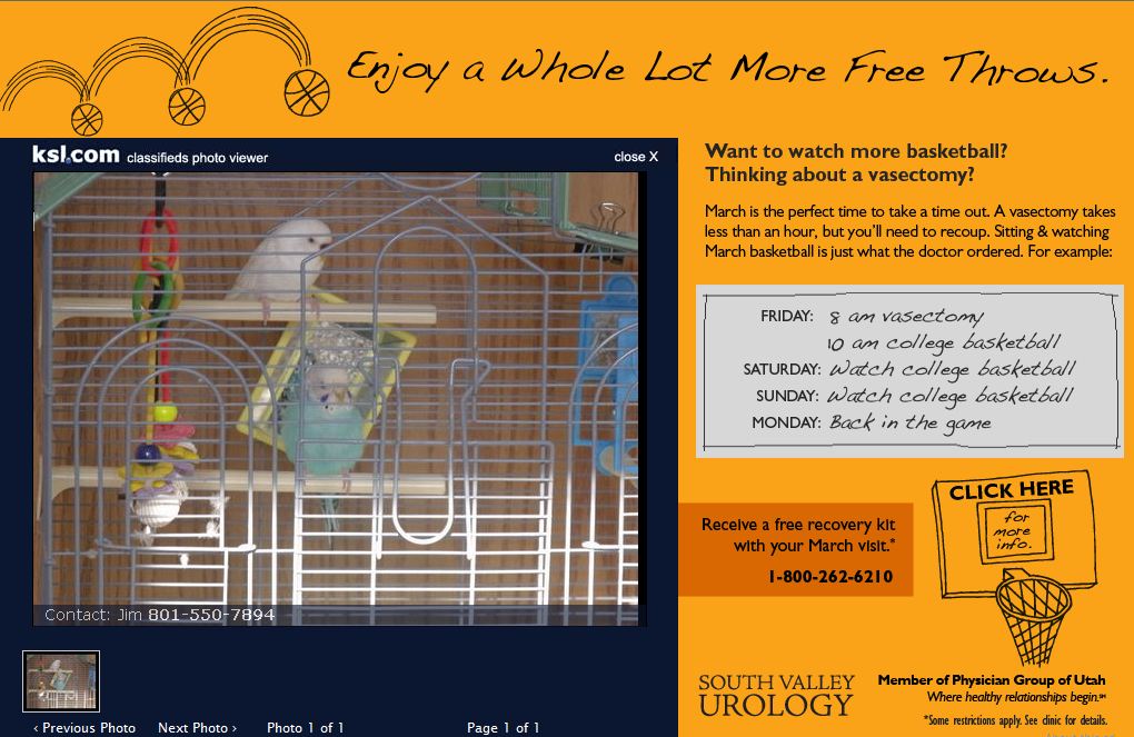 vasectomy reversal, ncaa basketball tickets